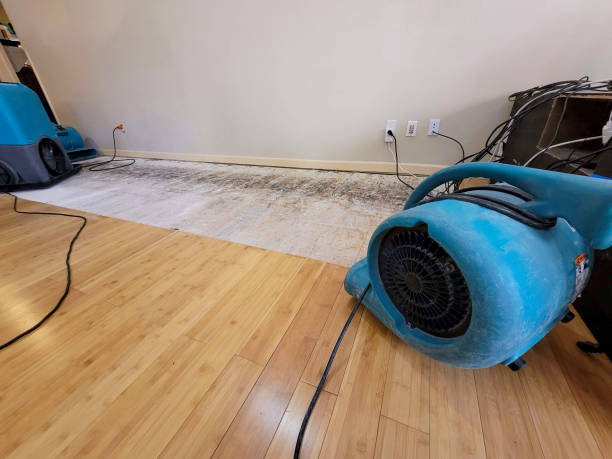 Professional Water Damage Repair technician working in Dayton, VA
